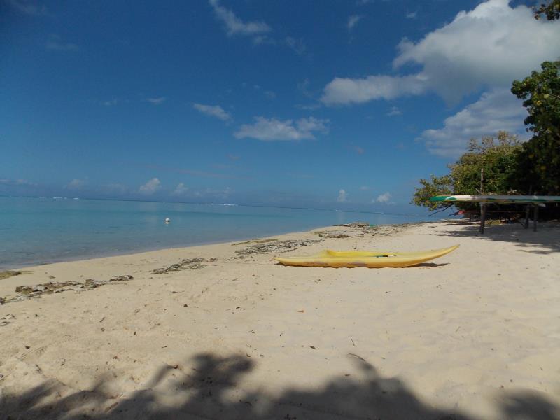 Fare Edith Moorea Bagian luar foto